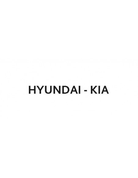 HYUNDAI/KIA